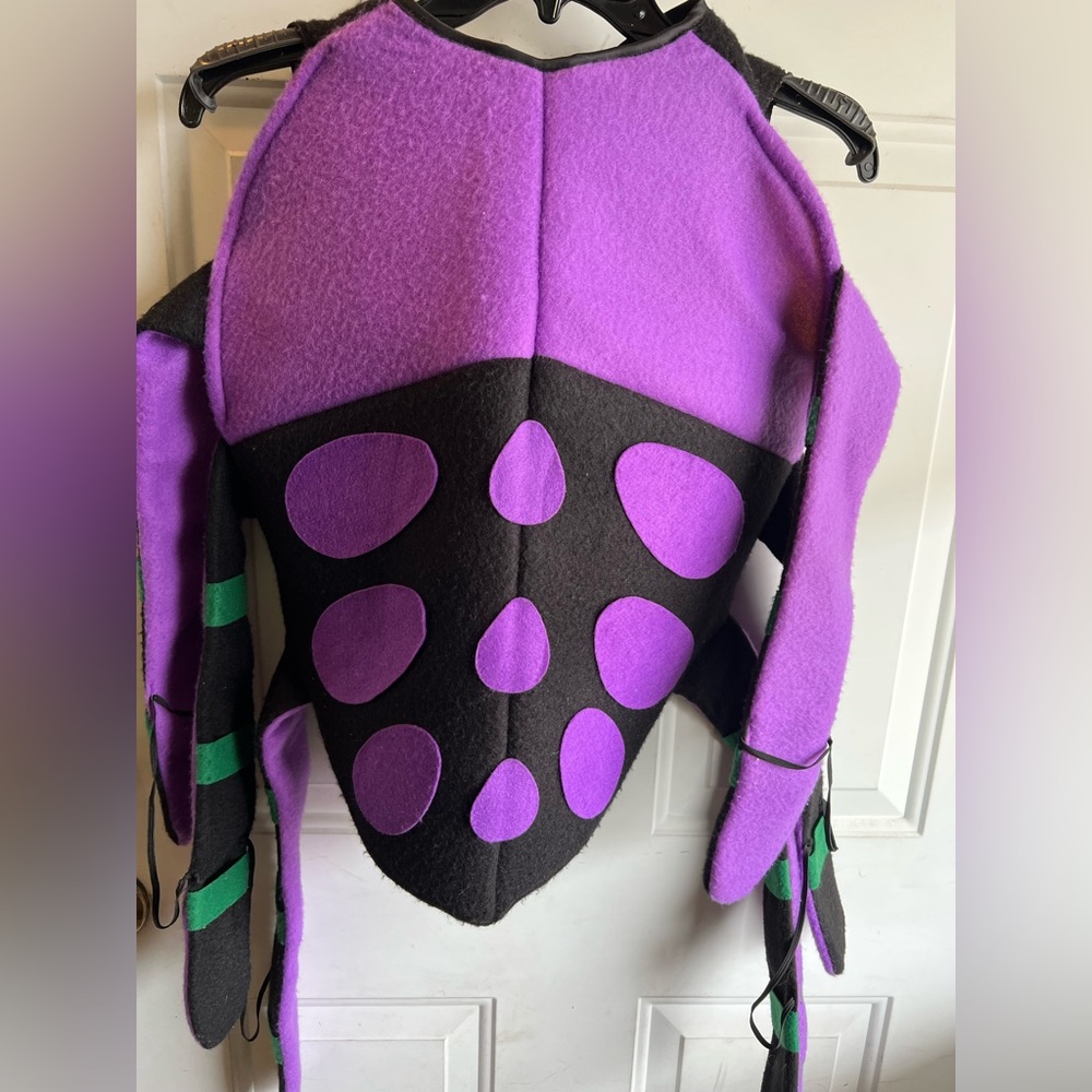 Spider costume